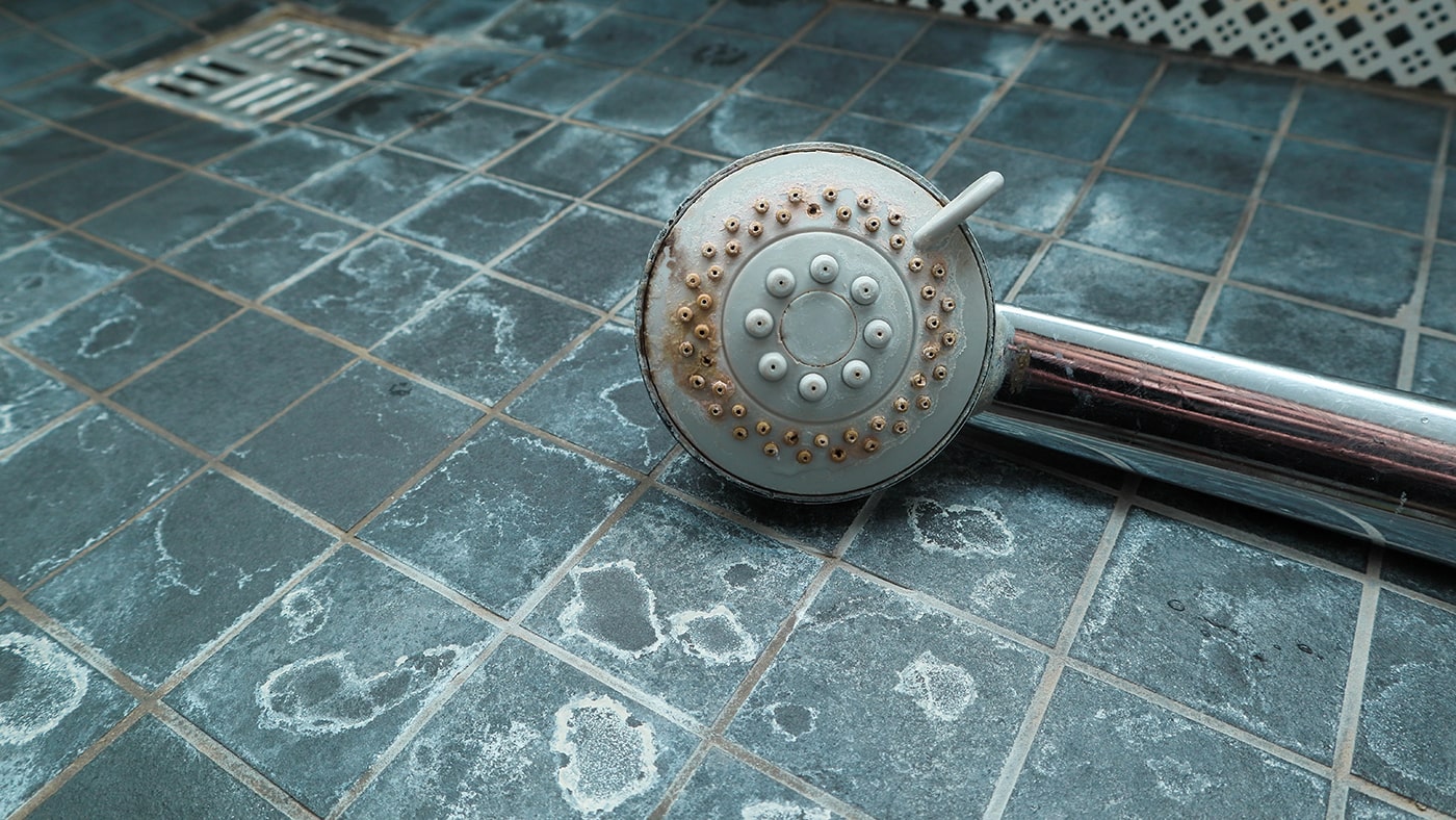 remove water hardness
